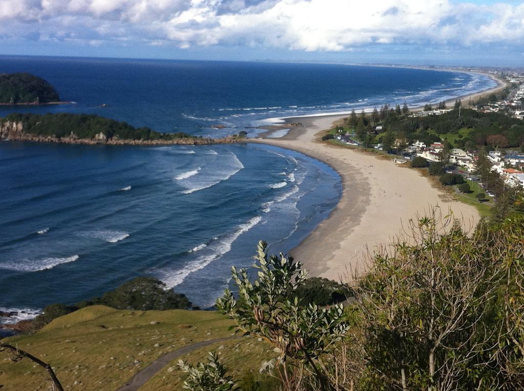 Seagulls Guesthouse Mount Maunganui Bagian luar foto